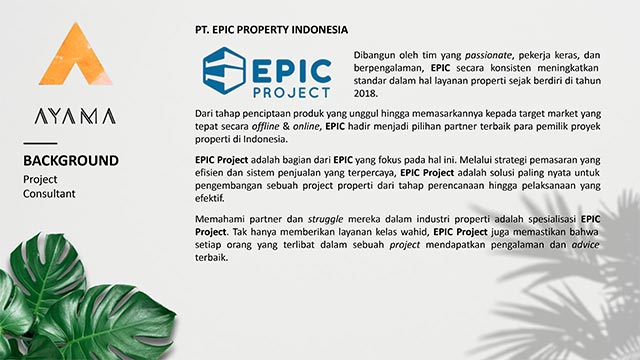 EPIC Project Consultant