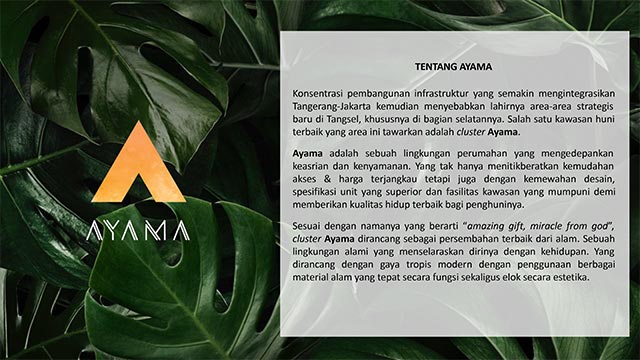 Tentang AYAMA